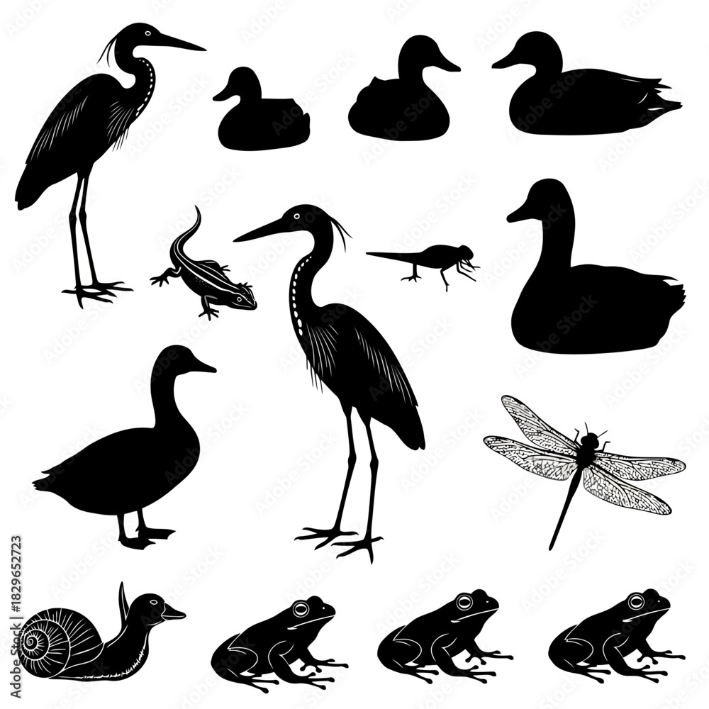 Obraz premium Black silhouettes of various birds, frogs, and a dragonfly isolated on