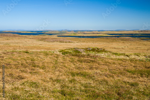 sea landscape in west iceland in summer