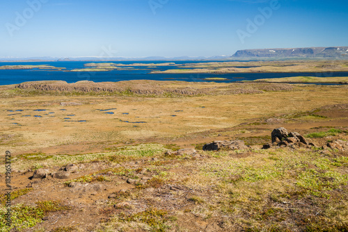 sea landscape in west iceland in summer