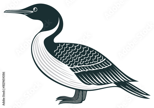 Stylized Illustration of a Loon Bird in a Standing Pose