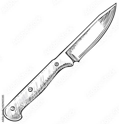 Detailed illustration of a sharp carving knife showing its blade and handle