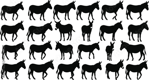 Collection of twenty-four detailed black silhouette vector illustrations of donkeys and asses in various walking, standing, and profile poses, isolated on a clean white 