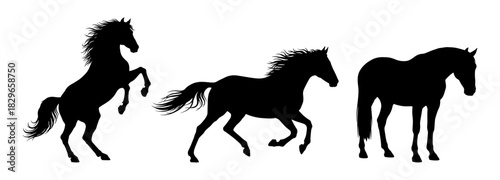 A set of horse silhouettes in different poses