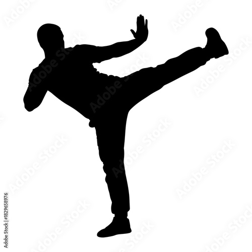Silhouette of a man executing a high side kick