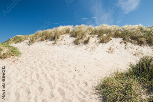 dune landscape in denmark