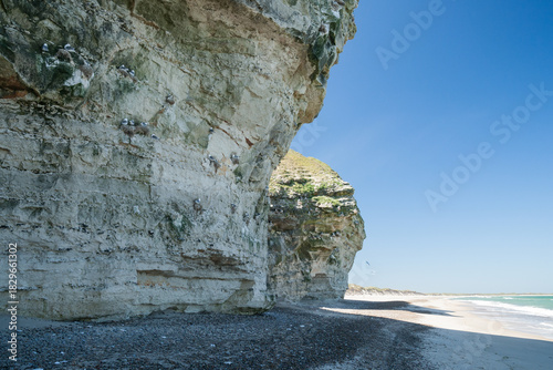 dune landsape in north denmark