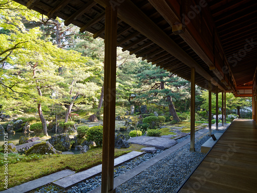 北方文化博物館の縁側から眺める新緑の瑠璃光