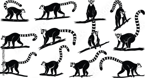 Collection of Ring Tailed Lemur Silhouettes in Various Poses on Branches animal primate