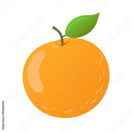 vector illustration of orange fruit