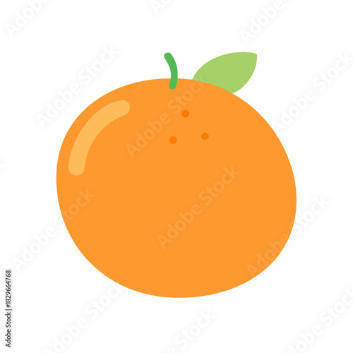 vector illustration of an orange