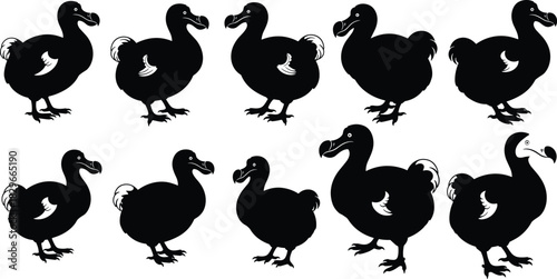 Ten black silhouette dodo birds in various poses on a white background black and white