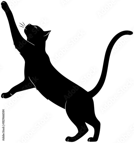 Cat Standing and Reaching Up – Vector Illustration