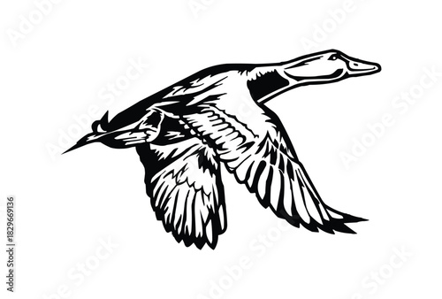 mallard flying duck silhouette, flying duck vector illustration