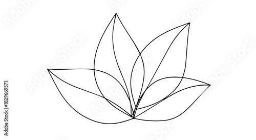 Minimal line drawing of a stylized botanical leaf and petals in graceful outline form.