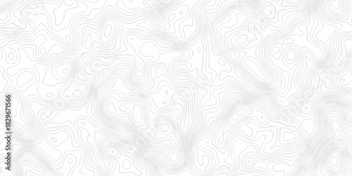 Modern area abstract topography map design. White curve map background. geometric topographic world grid wave Topographic map geographic line texture.	