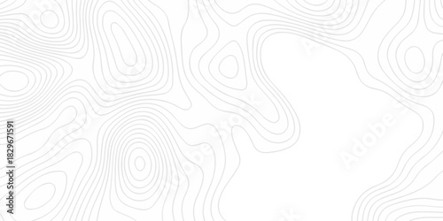 Modern area abstract topography map design. White curve map background. geometric topographic world grid wave Topographic map geographic line texture.	