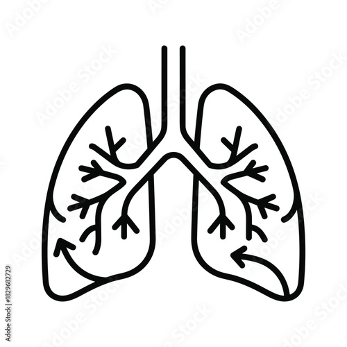 Human lungs with bronchi and airflow arrows, simple line art illustration