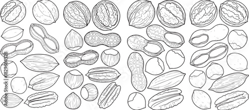 Hand- Drawn Assortment of Nuts in Black and White Outline