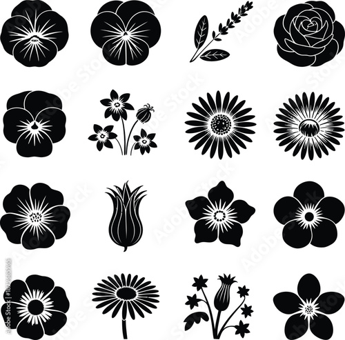 Botanical Flower Heads and Floral Silhouettes