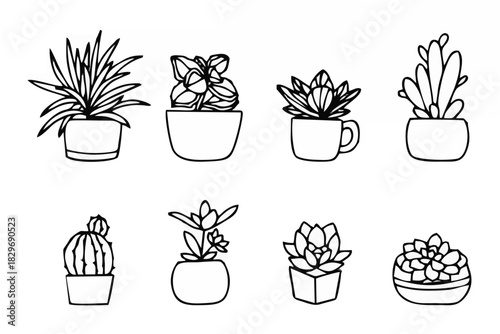 Cactus plant vector collectio...
