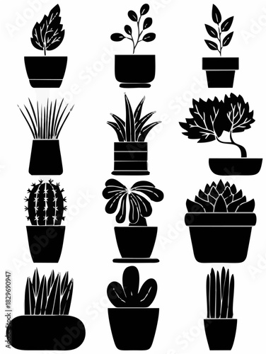 Houseplant vector set stock i...