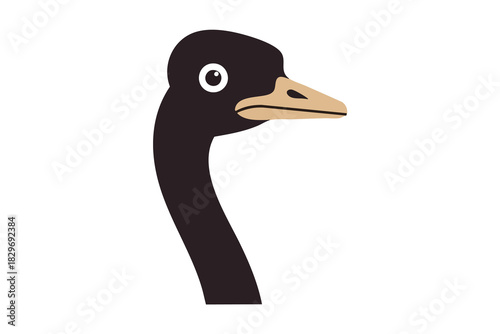 Stylized Cartoon Emu Head Illustration