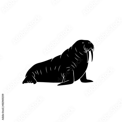 Black silhouette of a walrus with tusks, a large marine mammal, on a plain white background, depicted in a side profile.