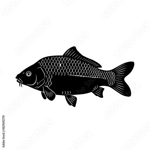Black silhouette of a carp fish with detailed scales and barbels, swimming left, isolated on a white background.
