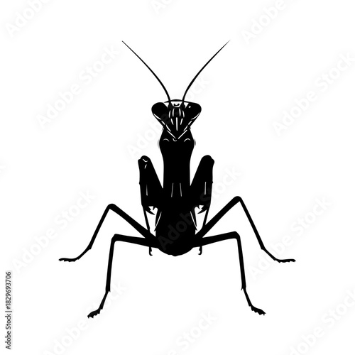 A striking black silhouette of a praying mantis, viewed from the front, against a clean white background, highlighting its unique form.