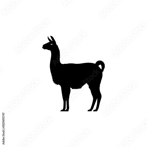 A black silhouette of a llama standing, isolated on a white background, depicting the animal's profile.