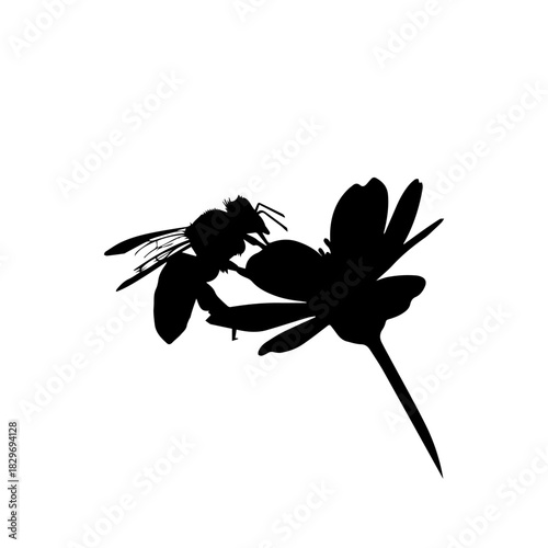 Black silhouette of a bee pollinating a flower on a white background.