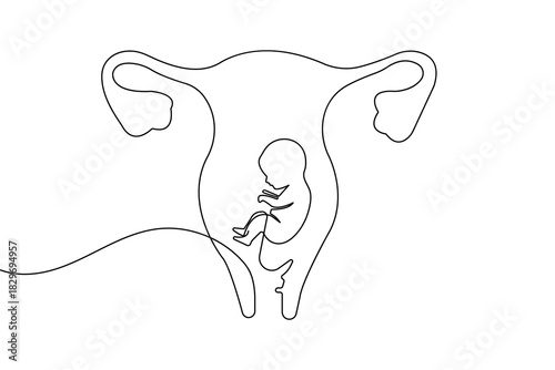 Minimalist women's uterus continuous one line drawing with simple outline vector illustration
