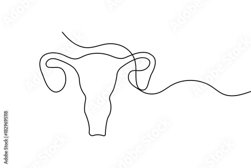 Minimalist women's uterus continuous one line drawing with simple outline vector illustration
