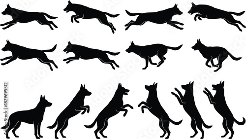 Black German Shepherd Silhouettes in Various Poses, Running, Jumping, and Standing Vector Illustration for Pet Design