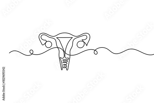 Minimalist women's uterus continuous one line drawing with simple outline vector illustration

