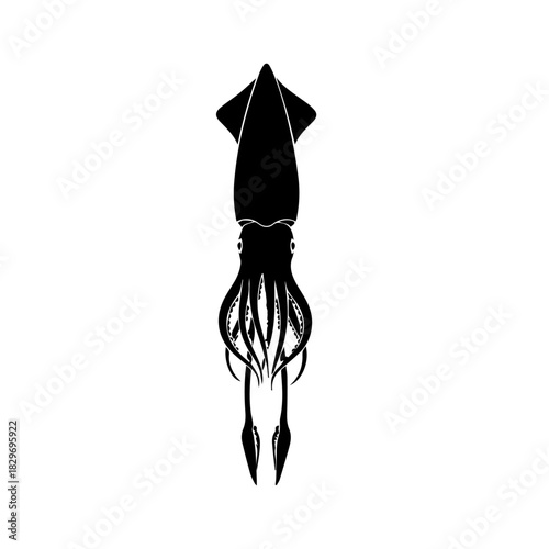 Detailed black silhouette of a squid with tentacles, isolated on a clean white background, showcasing its unique form.