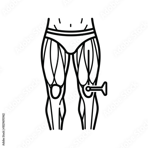 Line art illustration of human leg muscles anatomy with a key symbol indicating a joint or lock point on the knee