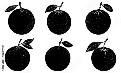 Elegant citrus fruit collection with leaves, perfect for vibrant summer designs and healthy lifestyle promotions, originally created as scalable vector art.