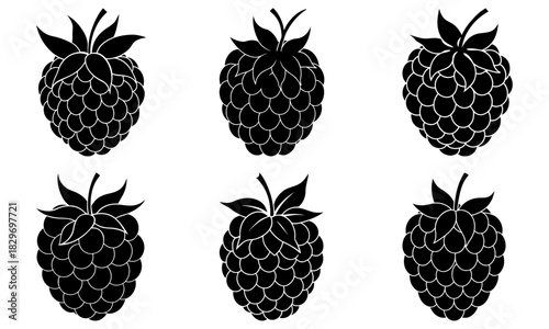 Delicious raspberries in a row, perfect for summer treats and healthy eating. Add a touch of nature to your design with these sweet berries