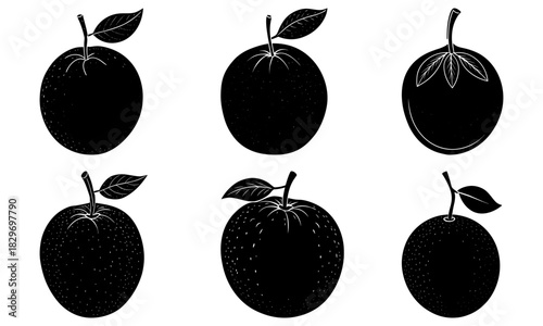 Vibrant collection of fresh citrus fruit, perfect for healthy lifestyle designs, culinary projects, and bright, modern illustrations created from vectors