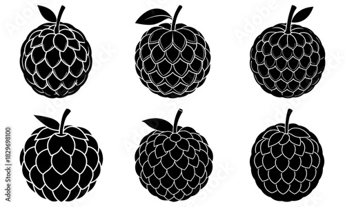 Captivating collection of sugar apples, a sweet and exotic delight! Perfect for culinary designs, healthy eating promotions, and tropical fruit themes, scalable