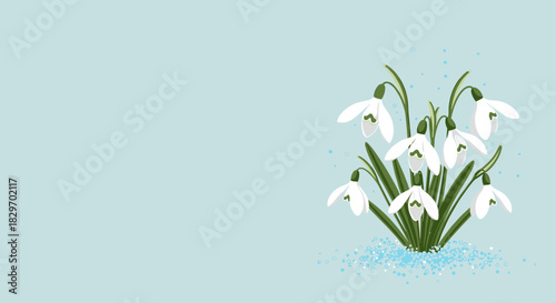 A beautiful cluster of white snowdrop flowers with green leaves blooming from sparkling blue snow on a serene light blue background, symbolizing early spring.