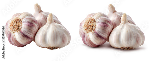 Cabeça de alho  em fundo transparente com e sem sombra projetada.