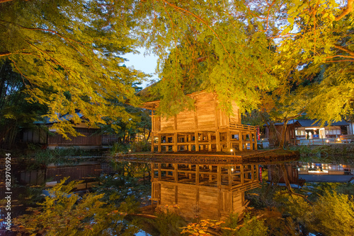 岩手県平泉町 秋の中尊寺、弁財天堂のライトアップ