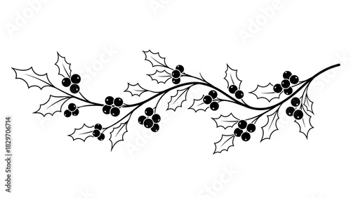 A black and white botanical line art illustration of a holly branch with leaves and berries.