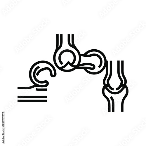 Human Joints Anatomy Illustration: Wrist, Elbow, and Knee Line Art Diagram