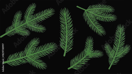 Collection of realistic pine tree branches isolated on black background.