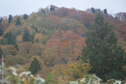 氷ノ山　登山の風景
