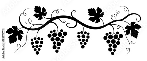 Stylized black silhouette of a grape vine with multiple bunches of ripe grapes and curling leaves, a decorative organic border element for designs.