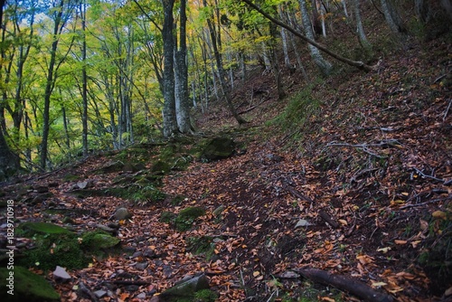 氷ノ山　登山の風景
